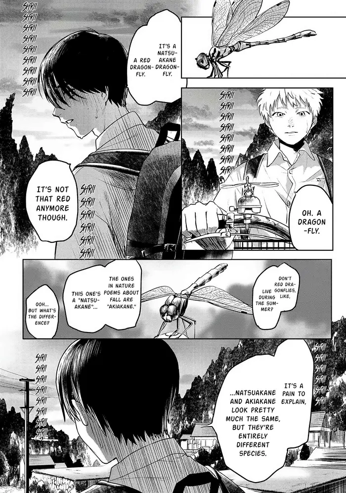 The Summer Hikaru Died Chapter 2 image 12_optimized